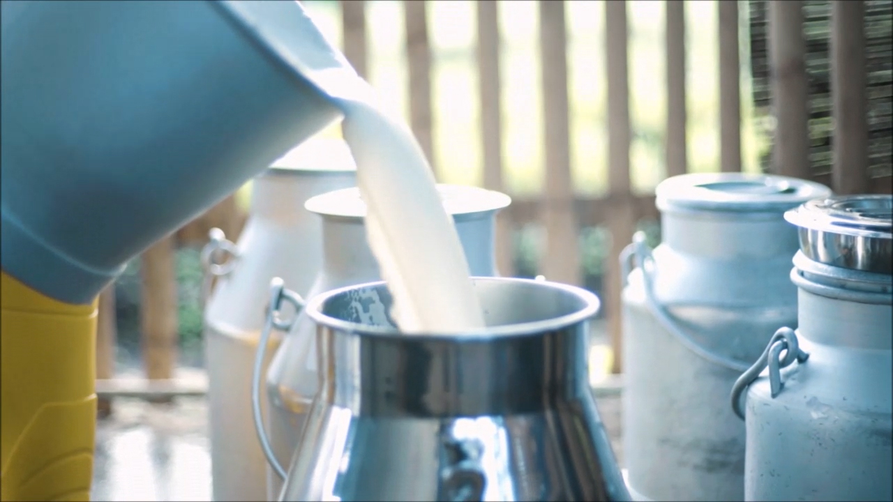 Dairy_Story