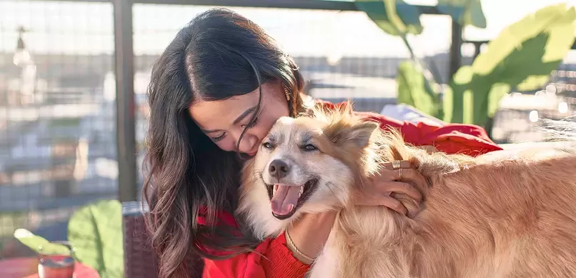 (© PURINA): Der Hund gilt als bester Freund des Menschen.  In Österreich leben (Stand Juni 2022) 766.000 Hunde.