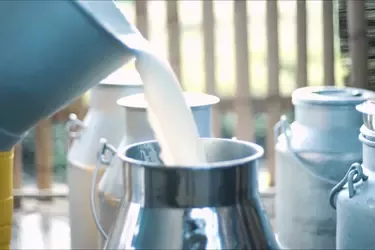 Dairy_Story