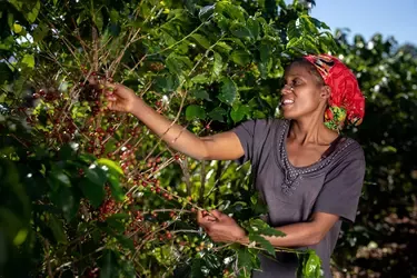 Woman-farmers