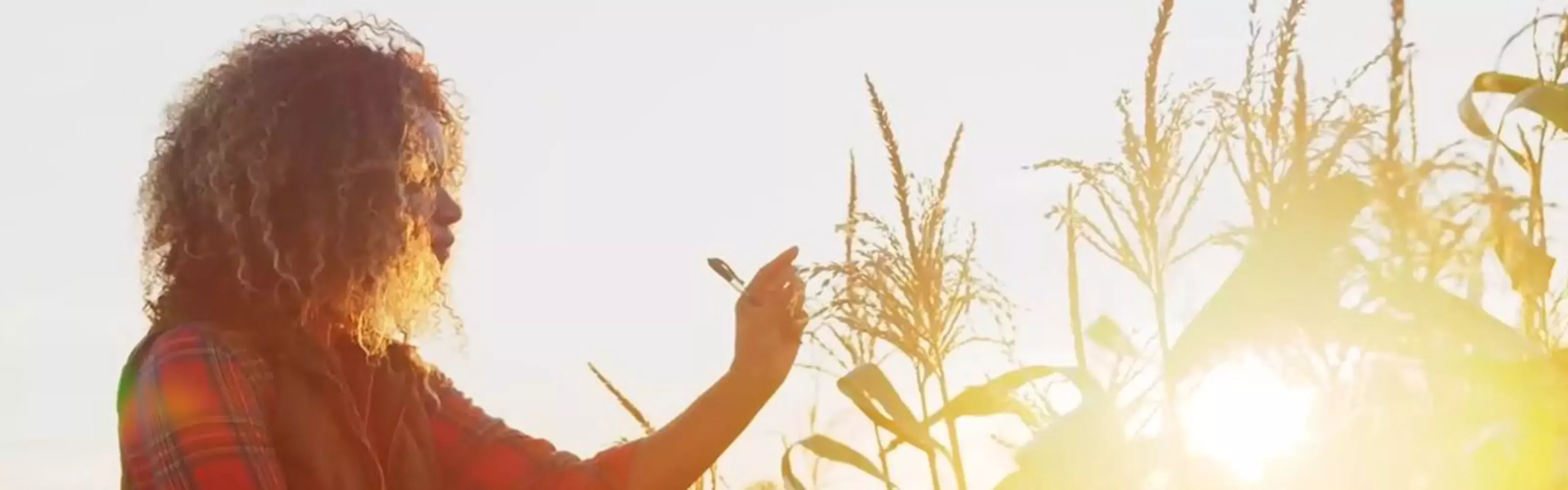 Regenerative Landwirtschaft
