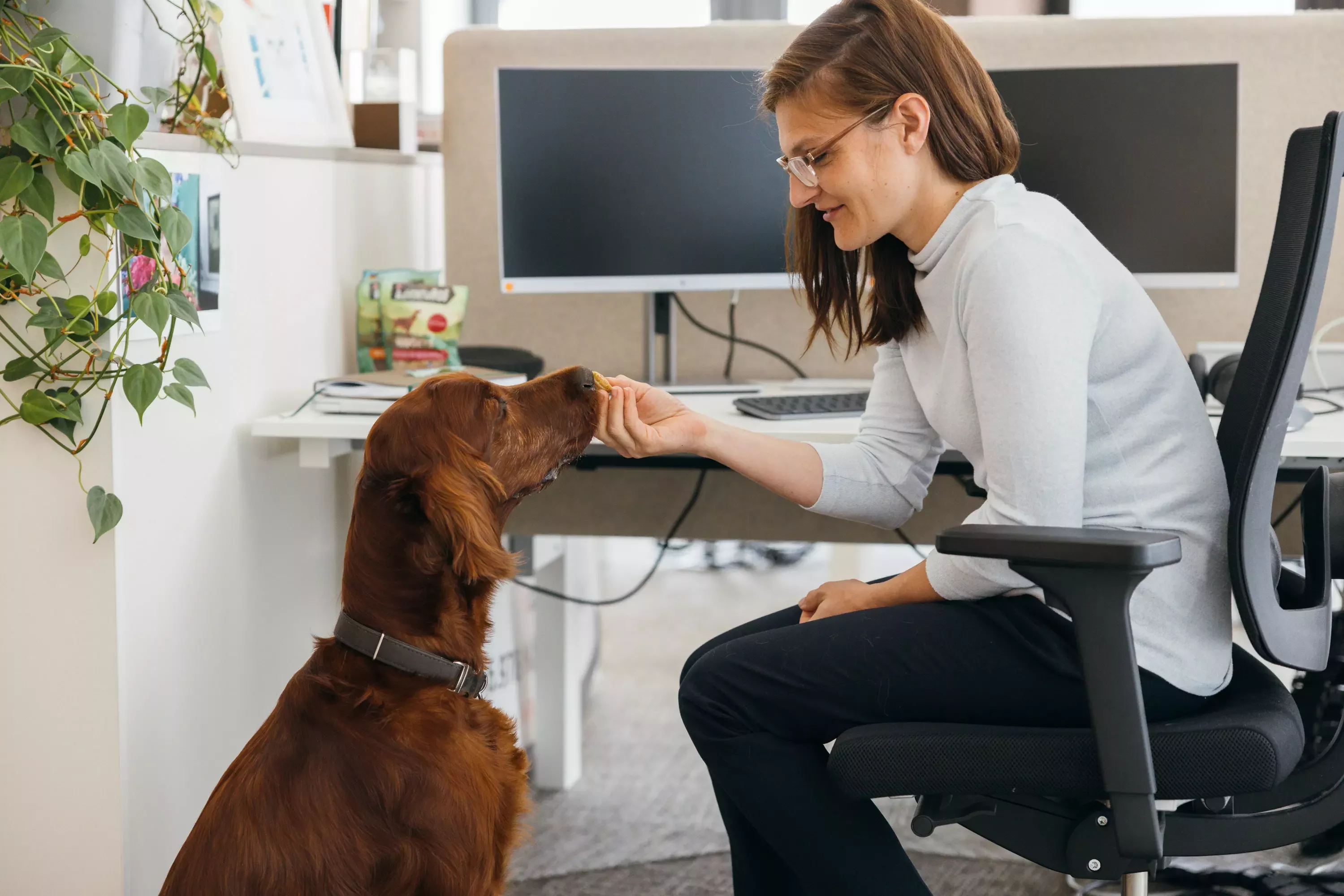 Pets@Work Nestle Belinda Trummer