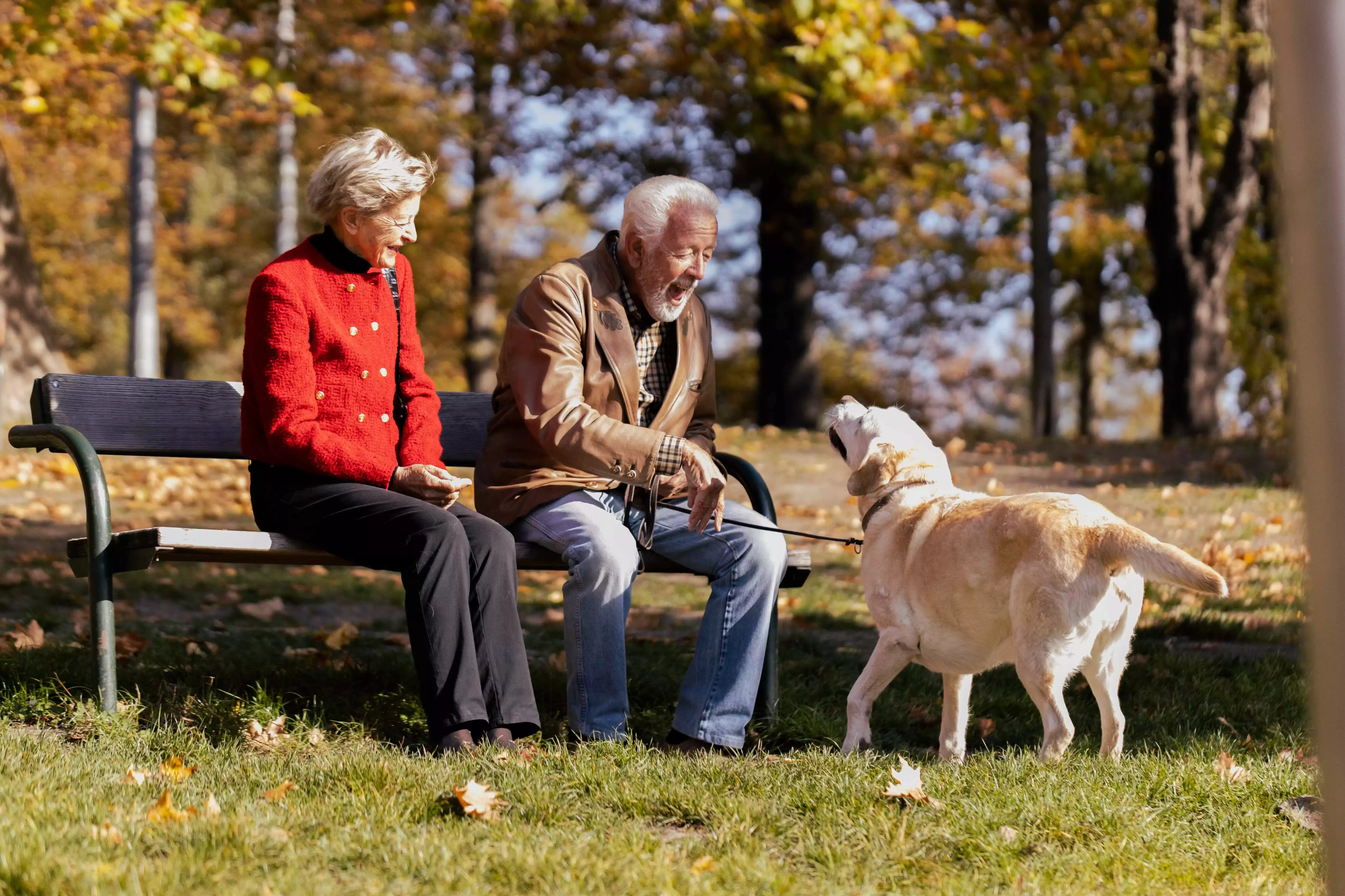 Foto_Purina_agft_©Volkshilfe Wien_John Kücückcay