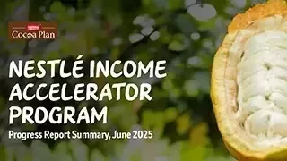 Income Accelerator Program progress report