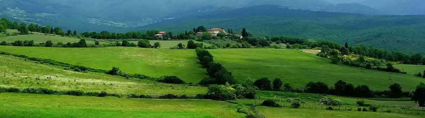 Verantwortungsvolle Beschaffung kleiner Banner
