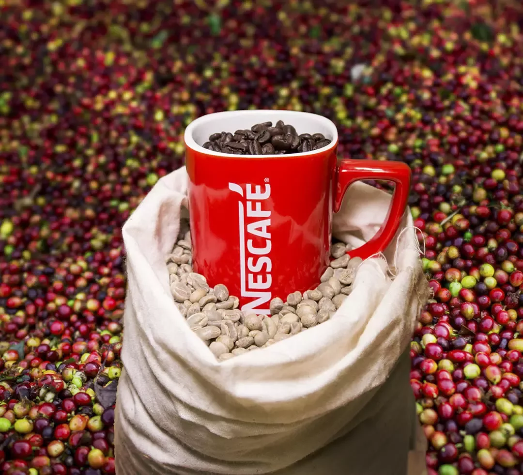 Nescafé_TasseMitBohnen