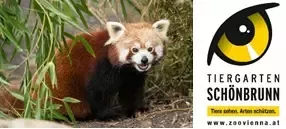 RoterPanda