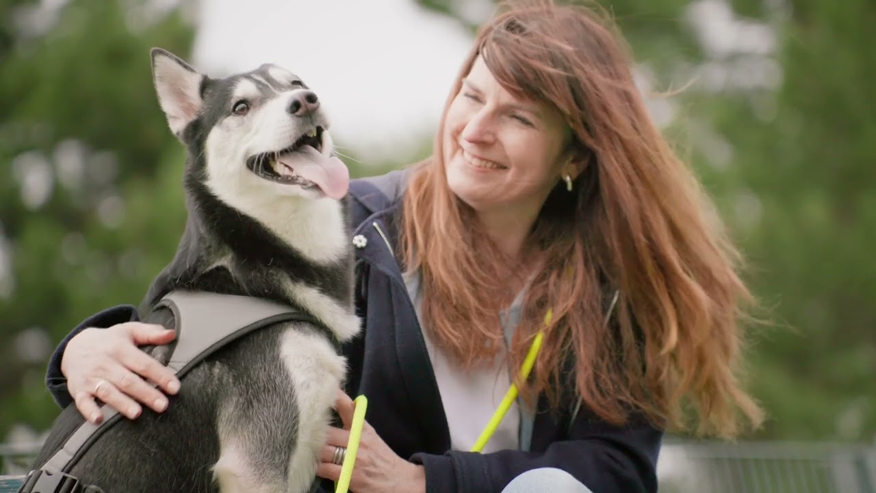 Gemeinsam für eine starke Mensch-Tier-Beziehung | PURINA & A G'SPIA FÜRS TIER