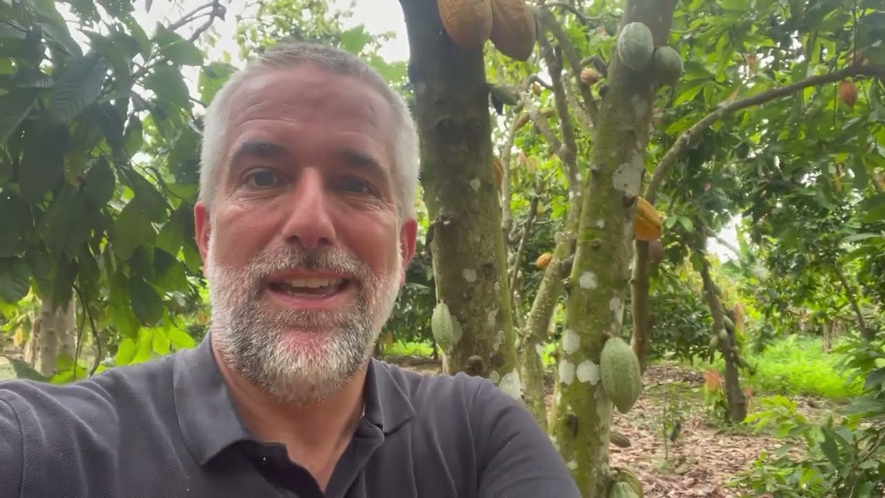 Bessere Bewirtschaftung